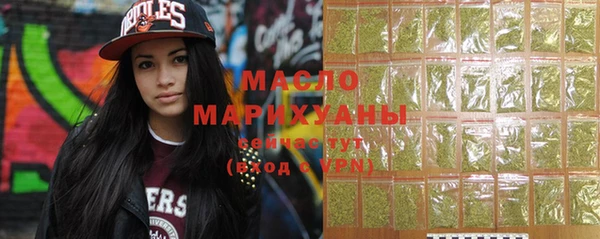мет Инта